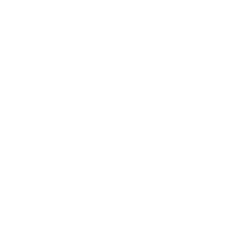 Essilor